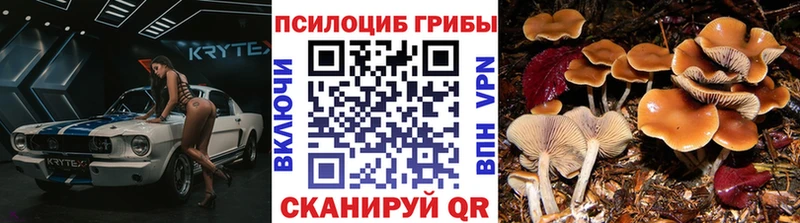 Галлюциногенные грибы Psilocybine cubensis  Облучье 